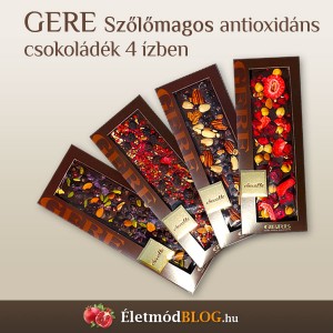 gere-csoki-eletmod-2013-11-08